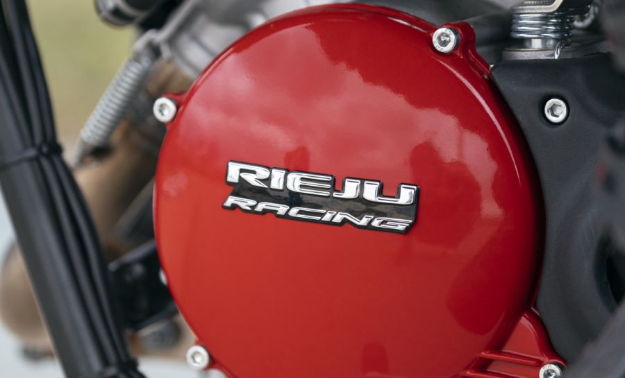 Rieju MRT 125 Pro_Trophy_motor