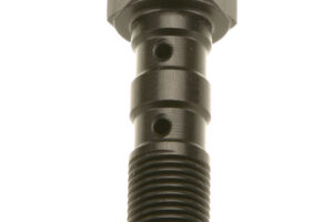 TRW HOHLSCHRAUBE DOPPELT